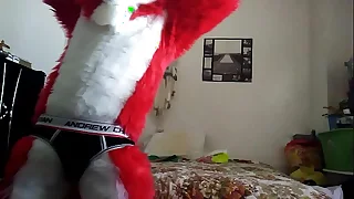 Winking Masturbating Fox